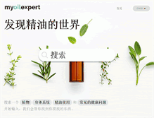 Tablet Screenshot of myoilexpert.com